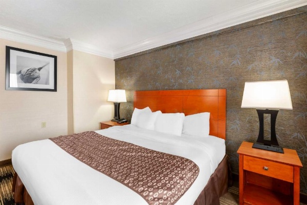Best Western The Inn At Rochester Airport image 24